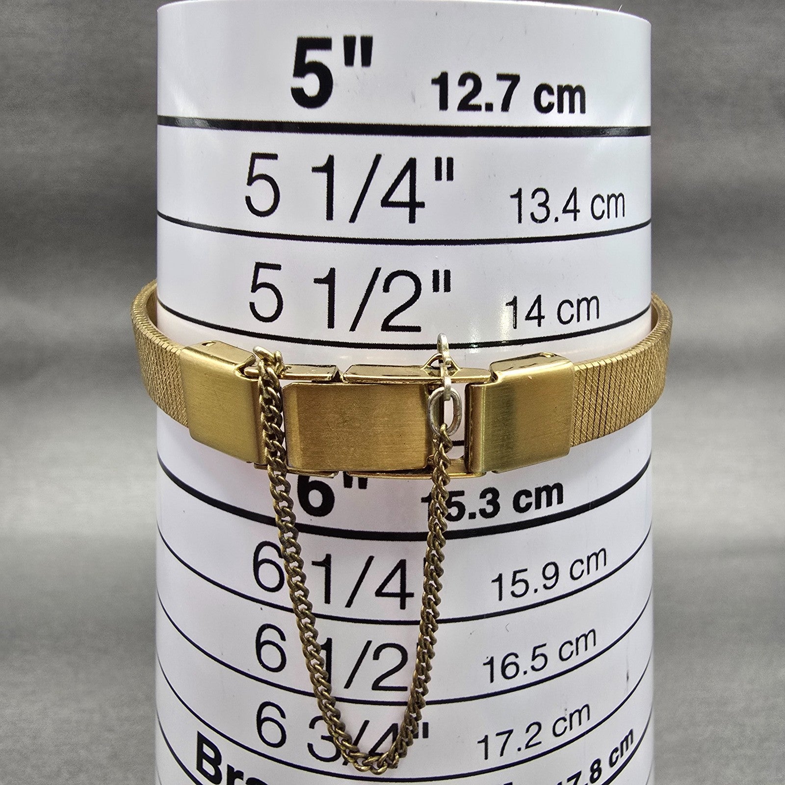 Citizen Watch Women 18mm Champagne Dial Gold Tone Oval 2030-205308 New Battery9