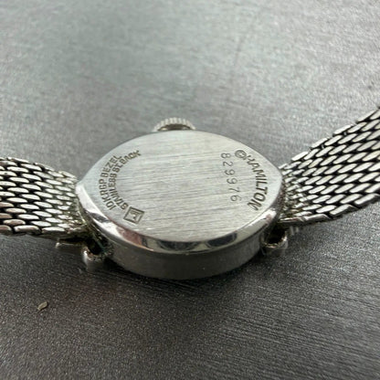 48181005