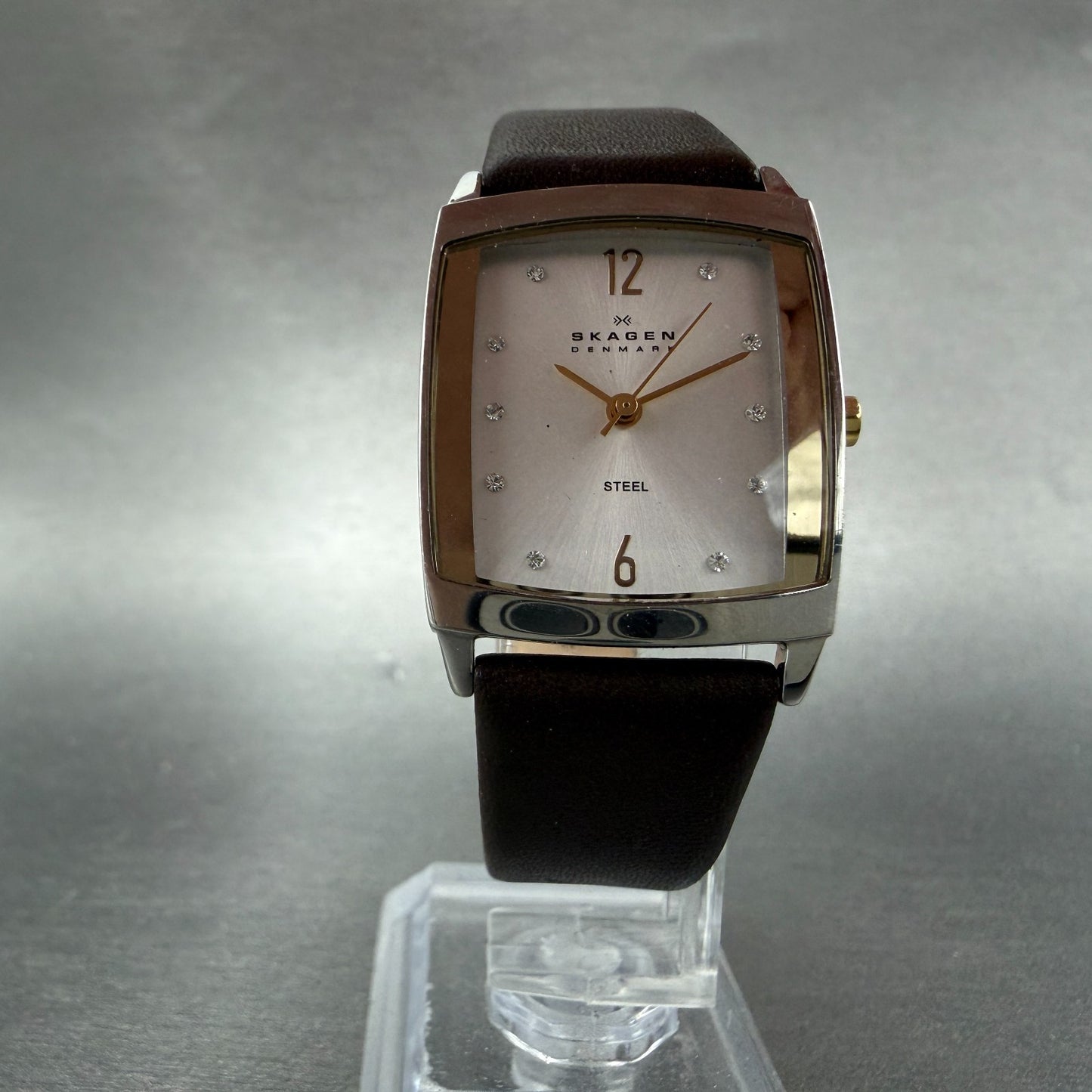 Skagen Tank Watch Women 24mm Silver Dial Steel Rectangle 691SSLG New Battery5