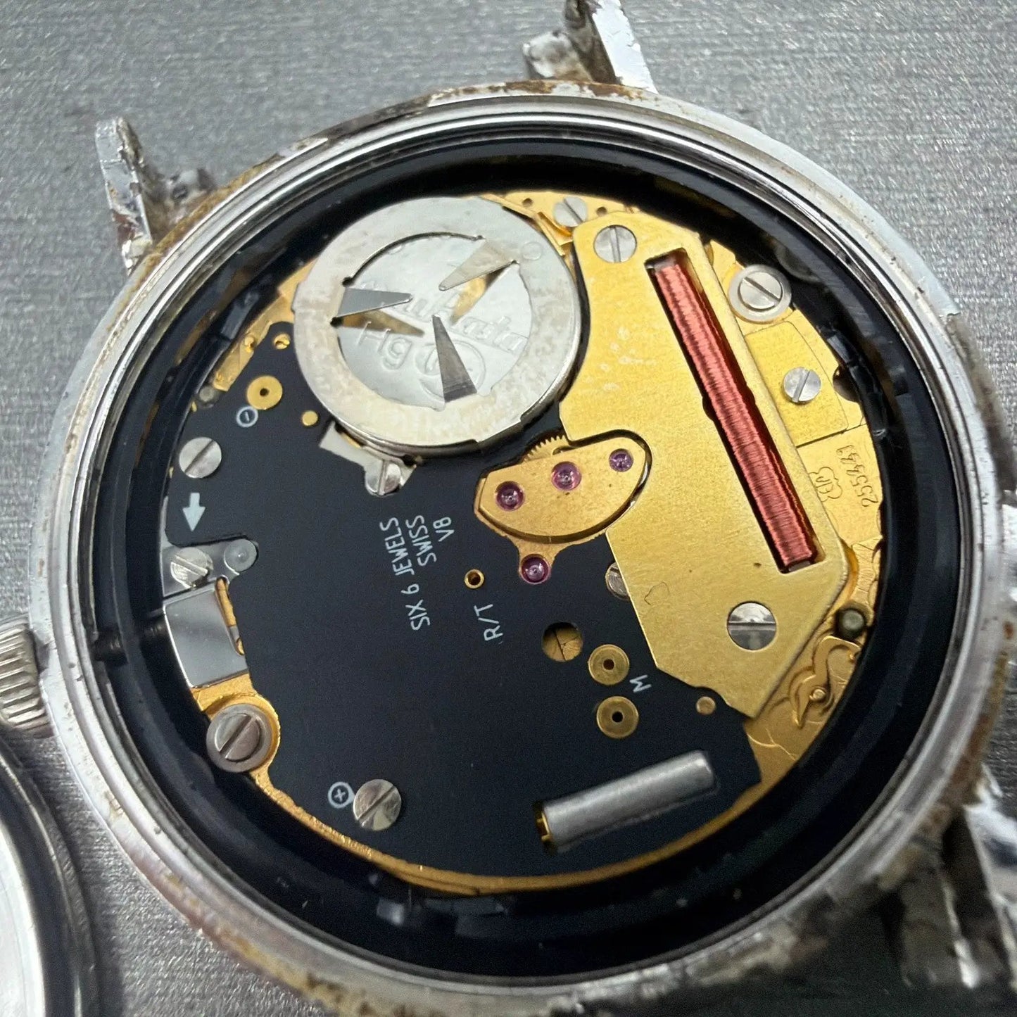 48043069