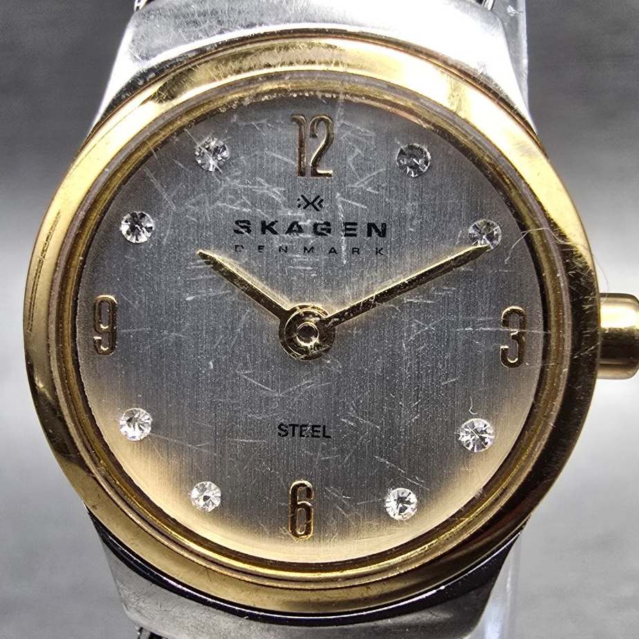 Skagen Watch Women 19mm Silver Dial Two Tone Round 502XSGS New Battery L1
