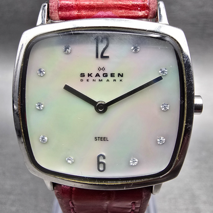 Skagen Watch Women 27mm MOP Dial Silver Tone Rectangle 332SSLF New Battery1