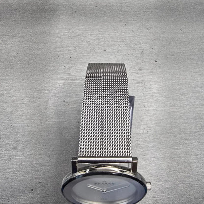 Skagen Watch Men 33mm Silver Dial Silver Tone Round 39LSS New Battery4