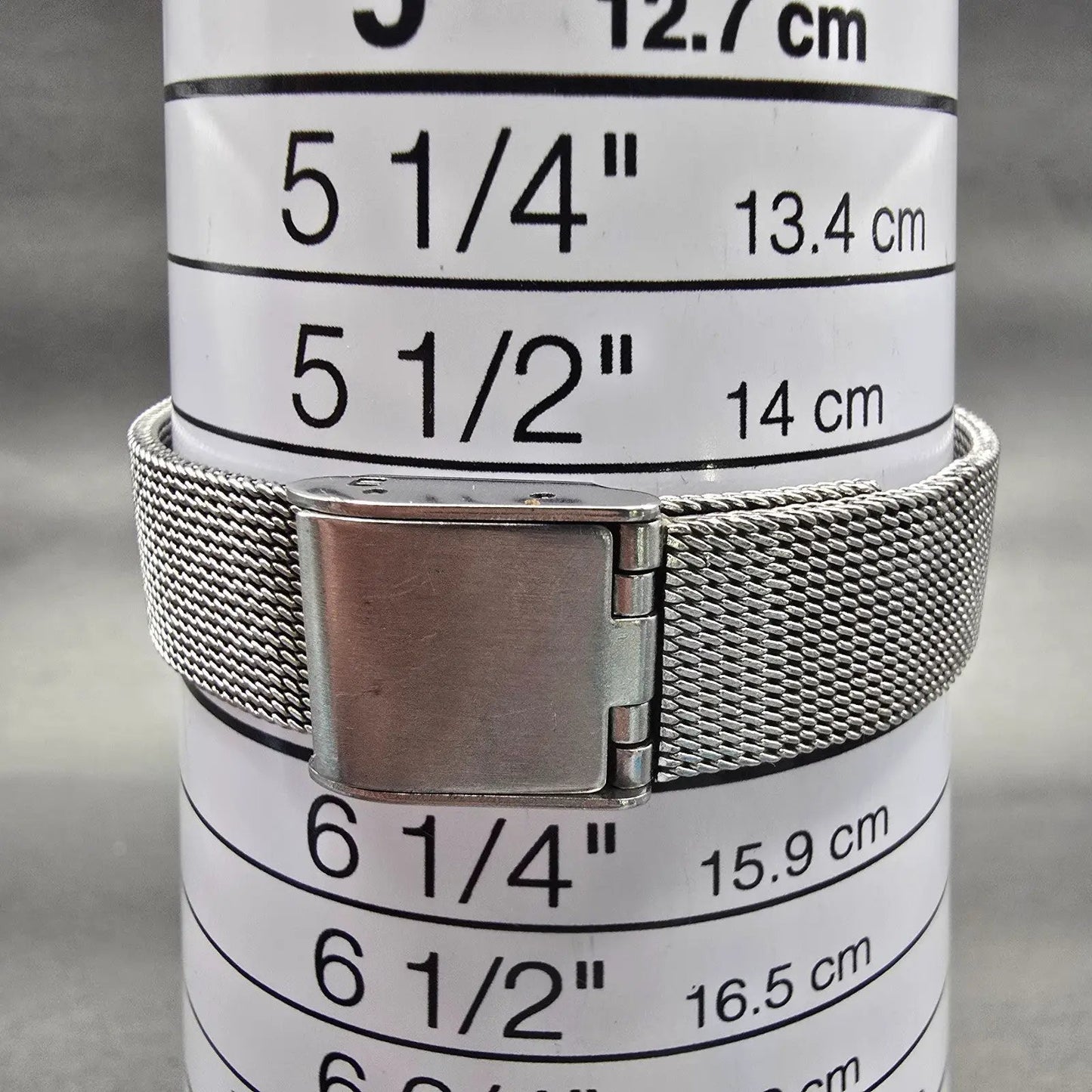 Skagen Denmark Watch Women 25mm Silver Dial Two Tone Round Mesh Band New Battery9