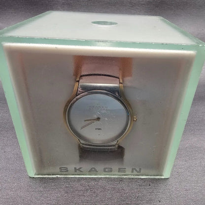 Skagen Denmark Watch Men 38mm Silver Dial Two Tone Round 256GLX New Battery2