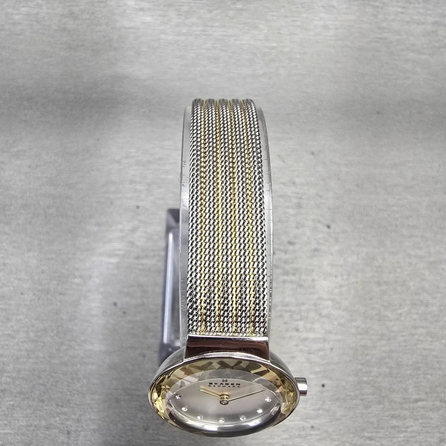 Skagen Leonora Watch Women 25mm Silver Dial Two Tone Round 456SGS1 New Battery4