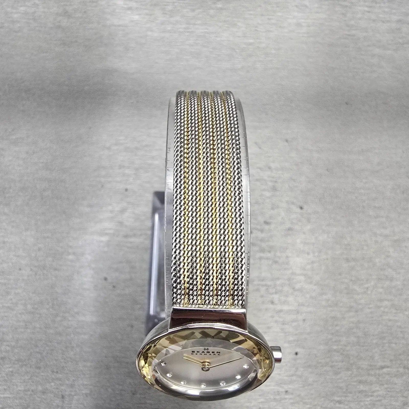Skagen Leonora Watch Women 25mm Silver Dial Two Tone Round 456SGS1 New Battery4