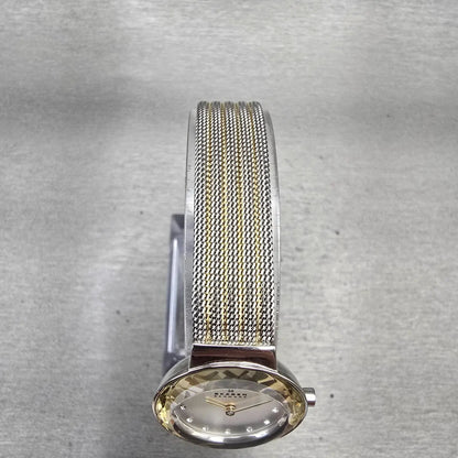 Skagen Leonora Watch Women 25mm Silver Dial Two Tone Round 456SGS1 New Battery4