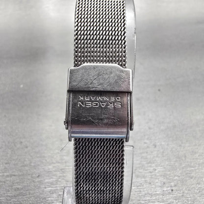 Skagen Denmark Watch Women 28mm Silver Dial Silver Tone Date 16SSS New Battery7