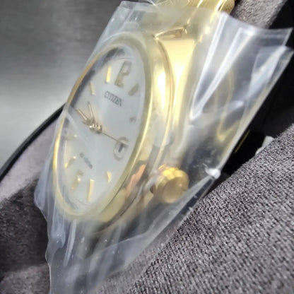 Citizen Chandler Eco-Drive Watch Men 41mm Silver Dial Gold Date AW1372-81A WBox2
