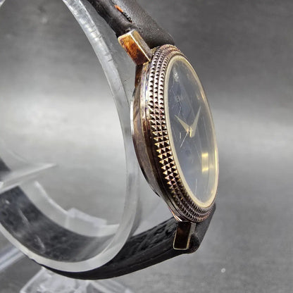 Yema Watch Women 25mm Blue Dial Gold Tone Round Leather Band New Battery3