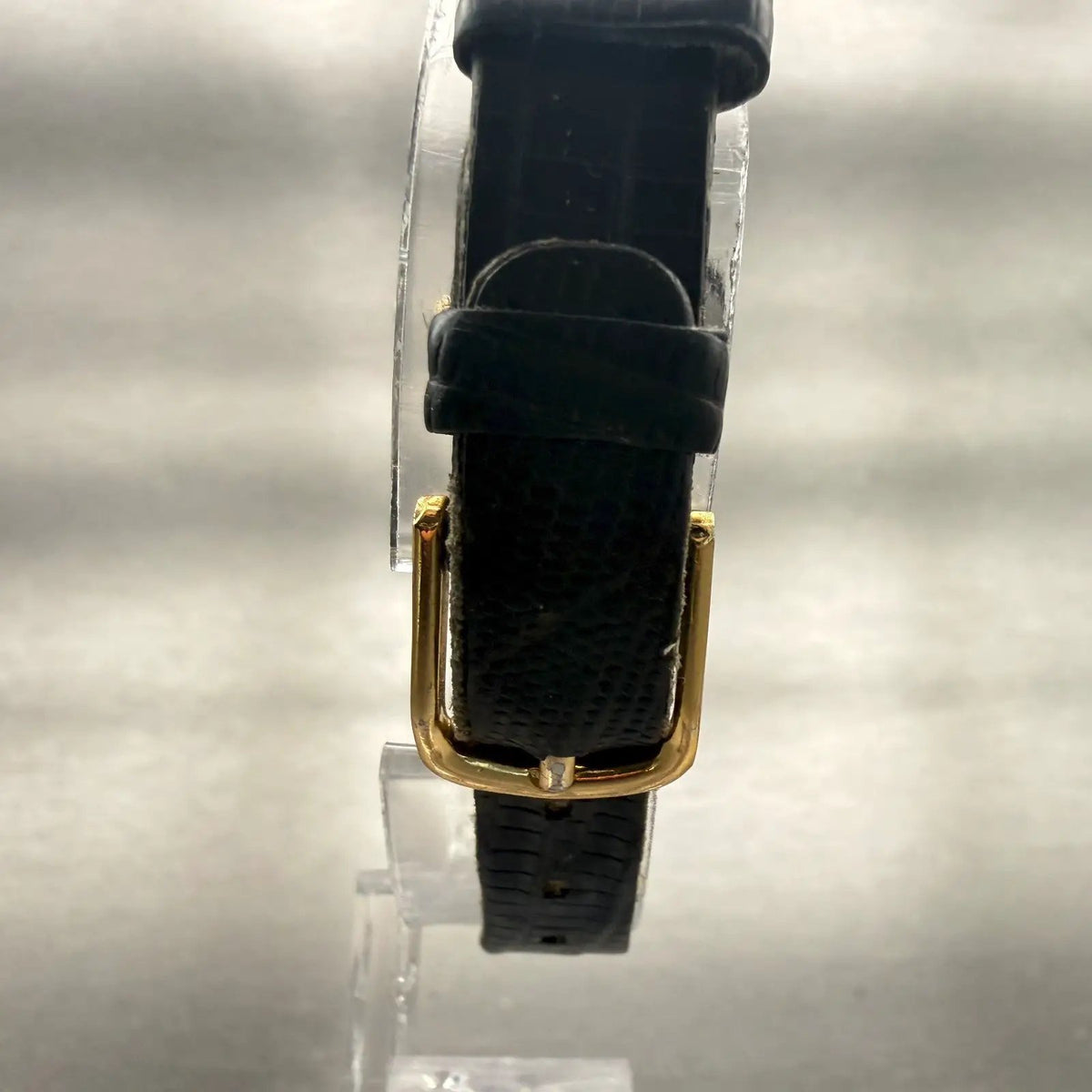 48304561