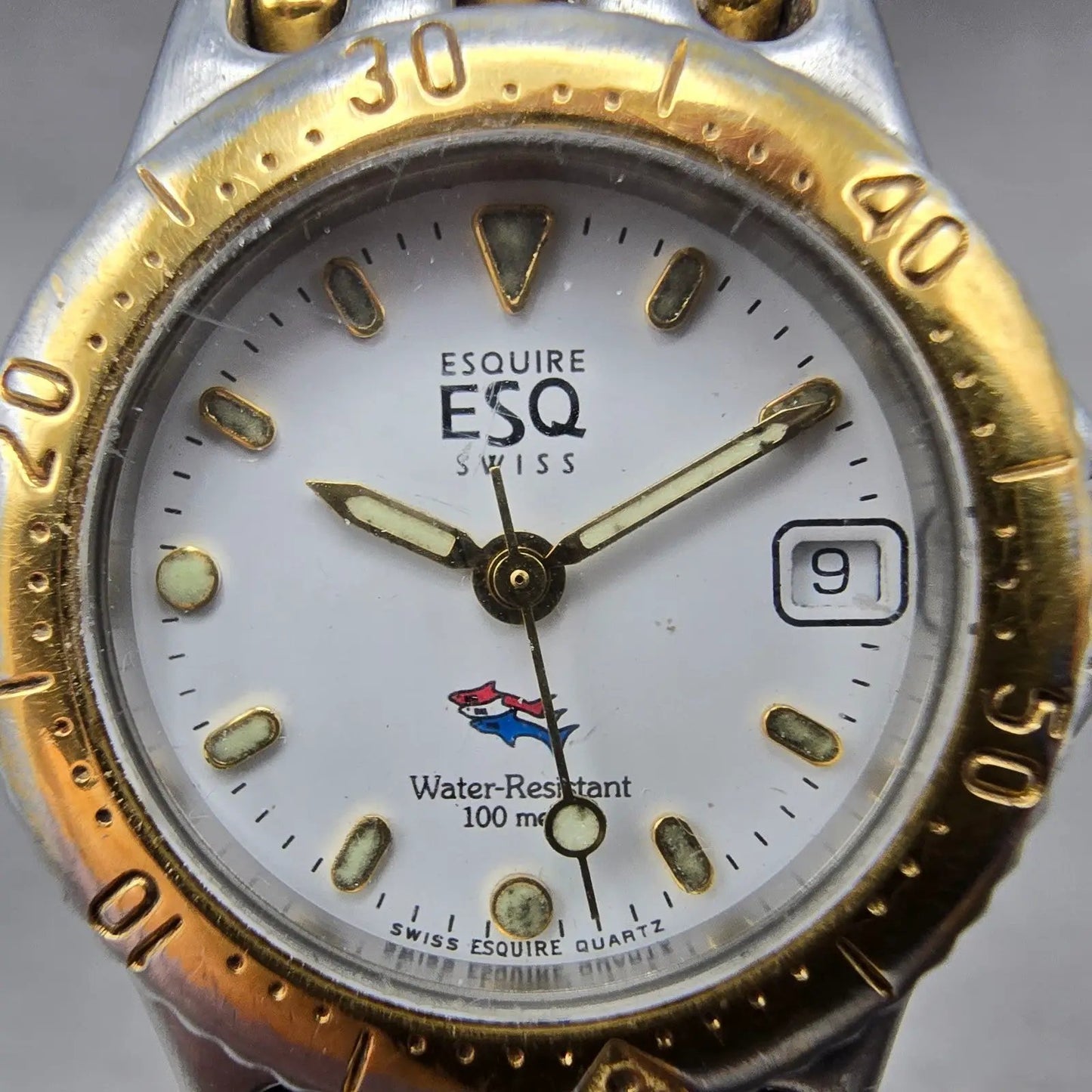 ESQ Dive Watch Women 27mm White Dial Two Tone Date Round 100408 New Battery1