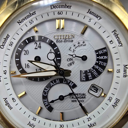 Citizen Eco-Drive Perpetual Calendar Watch Men 39mm White Dial Gold Alarm Runs1