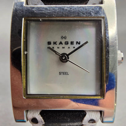Skagen Watch Women 22mm MOP Dial Silver Tone Rectangle N228SSLBW New Battery1