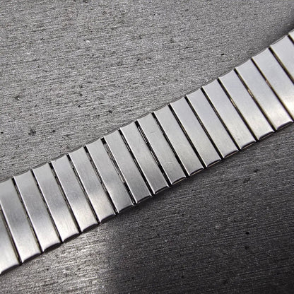 Navajo Sterling Silver Watch Band Tips 17mm Lizard Design Stretch Band VTG14