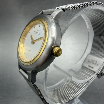 Skagen Watch Women 23mm Silver Dial Two Tone Round Mesh 120SGS New Battery2
