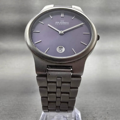 Skagen Watch Men 34mm Blue Dial Titanium Date Round 105LTXN New Battery5
