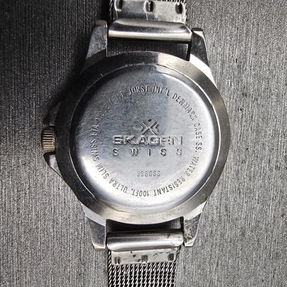 Skagen Watch Women 26mm Silver Dial Two Tone Date Round 33SGSS New Battery10