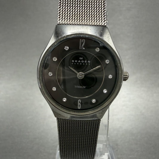 Skagen Watch Women 24mm Gray Dial Titanium Round Mesh Band 233XSTTM New Battery0