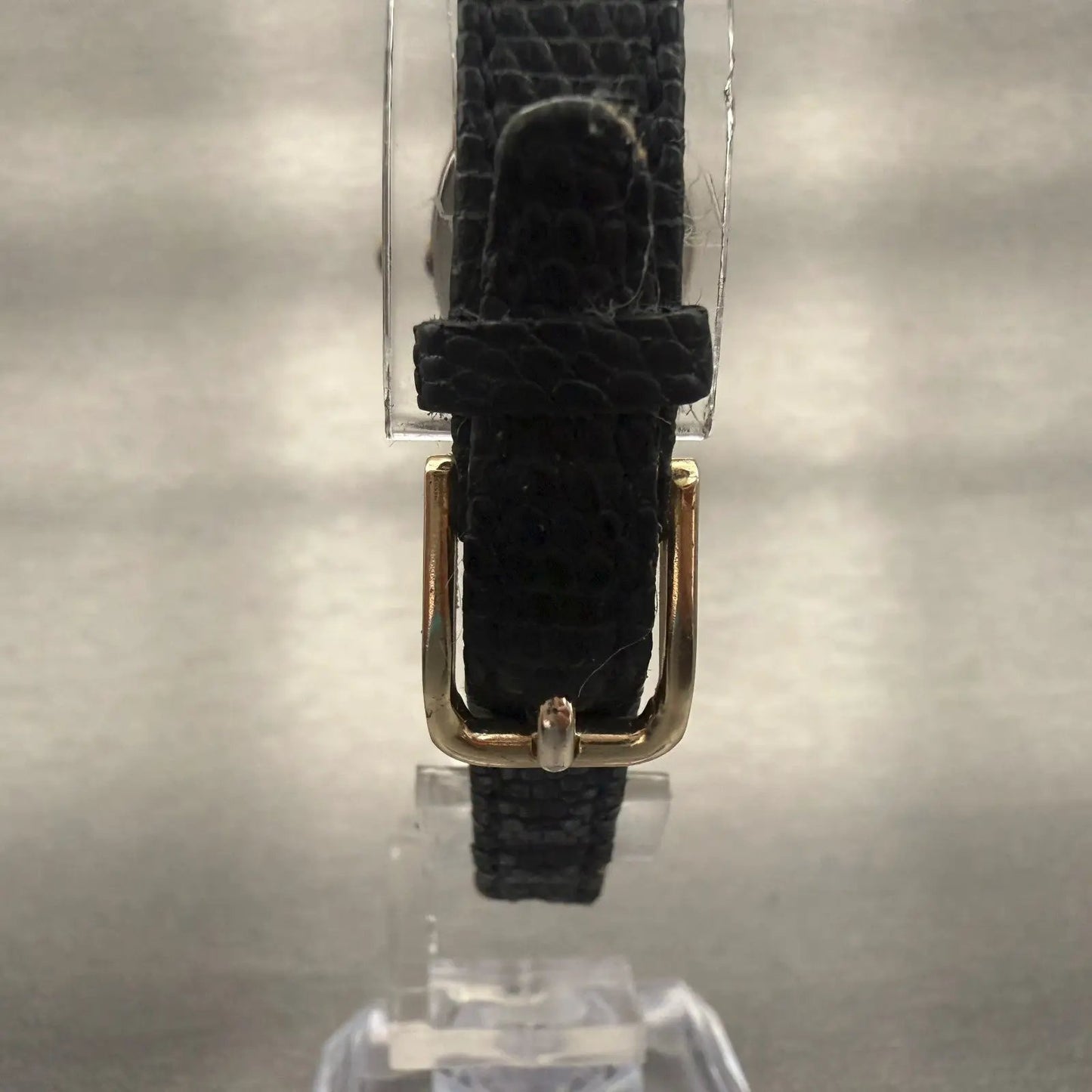 48101665