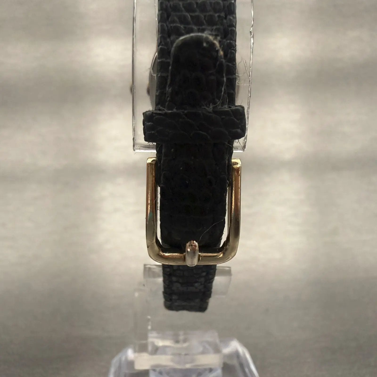 48101665