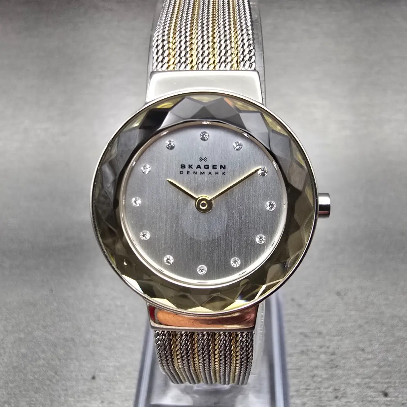 Skagen Leonora Watch Women 25mm Silver Dial Two Tone Round 456SGS1 New Battery0