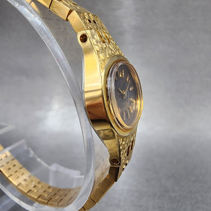 Seiko Watch Women 17mm Brown Dial Gold Tone Oval 2C205759 New Battery NOS3