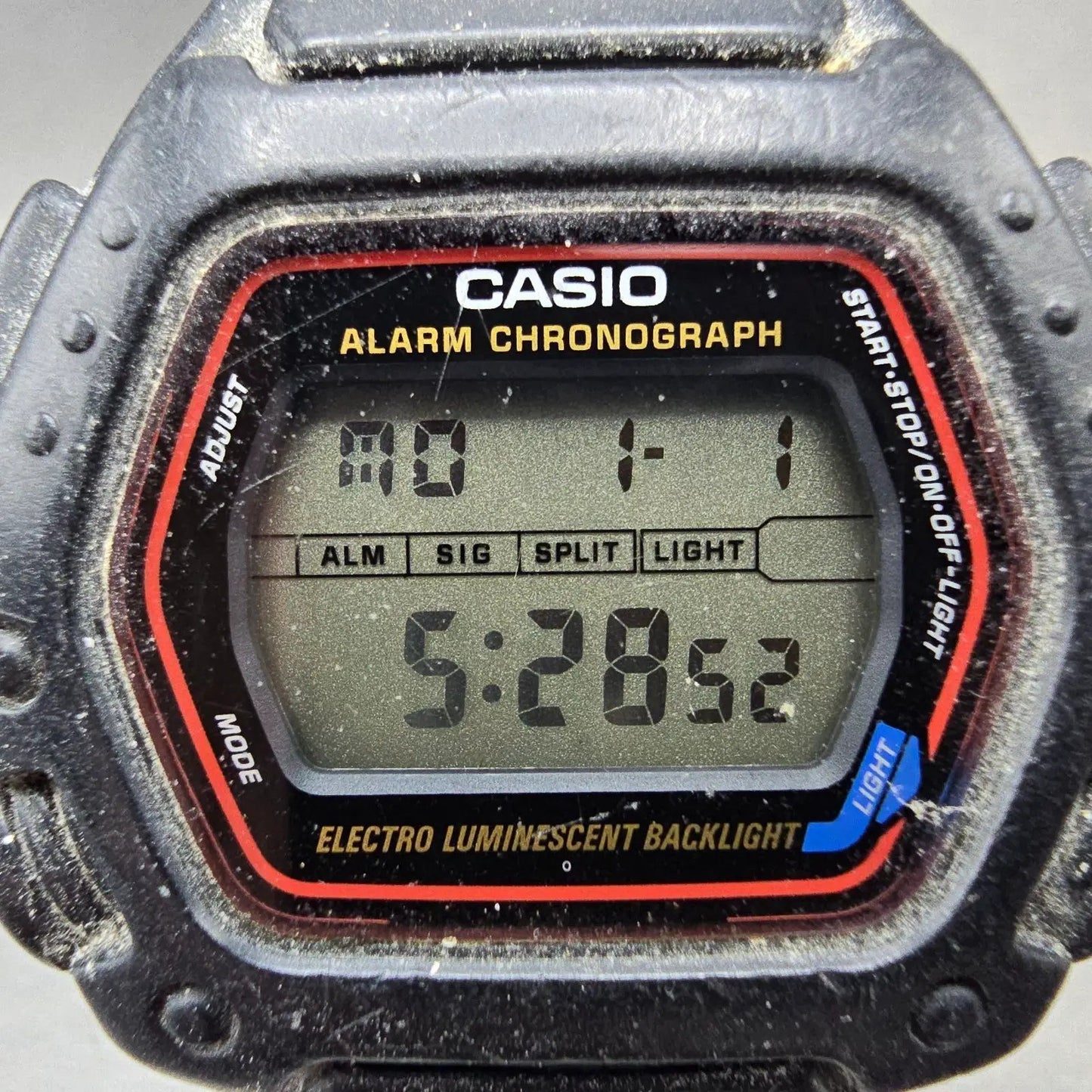 48445061