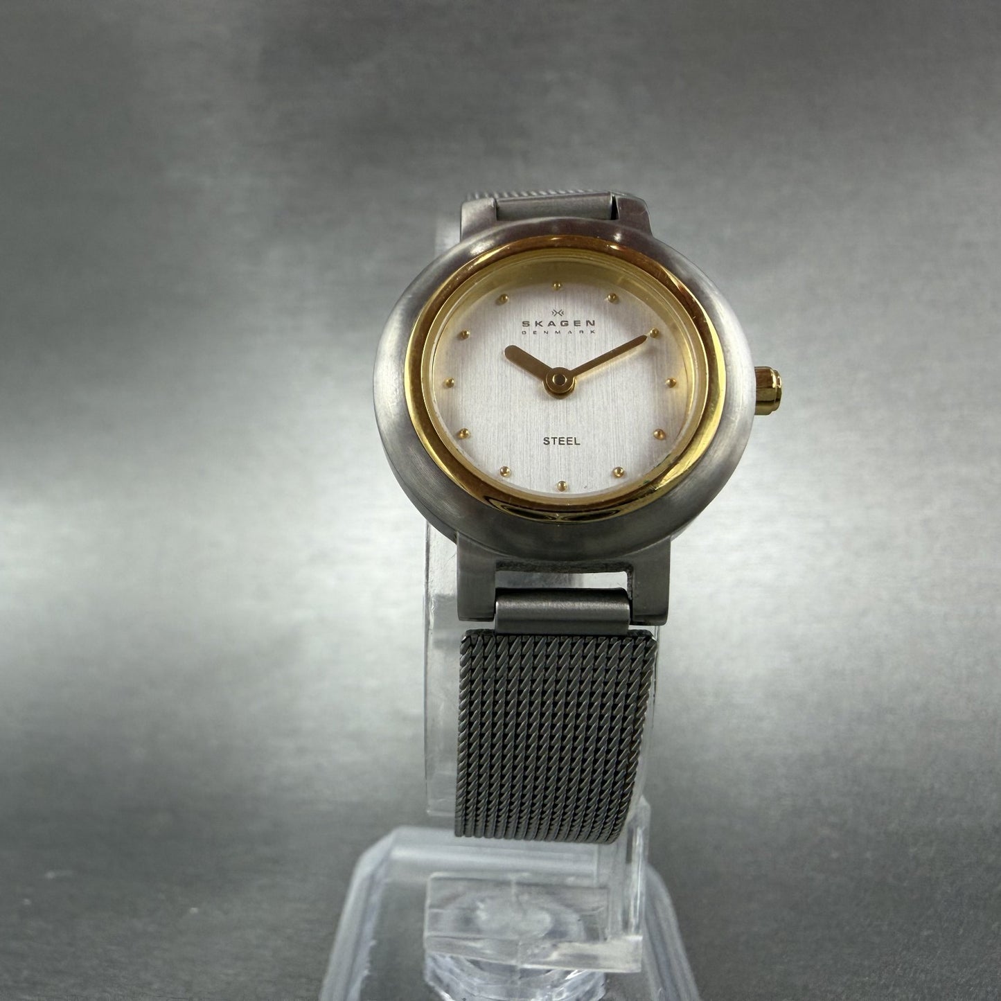 Skagen Watch Women 23mm Silver Dial Two Tone Round Mesh 120SGS New Battery5