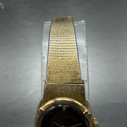 Seiko Watch Women 16mm Brown Dial Gold Tone Oval Vintage 5420-5159 New Battery4