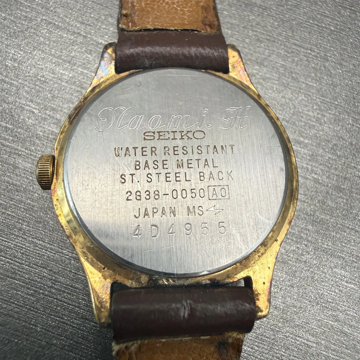 48101686