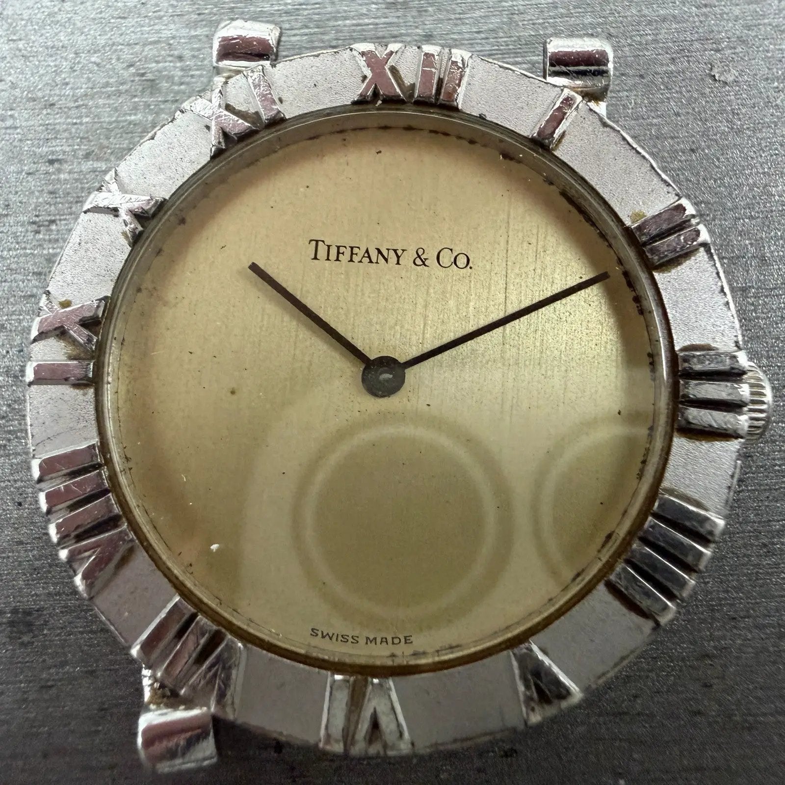 48043069