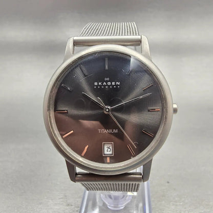 Skagen Watch Men 34mm Gray Dial Titanium Date Round 170LTTM New Battery Mesh0