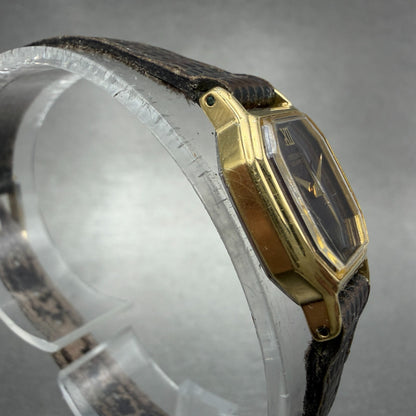 Seiko Watch Women 16mm Brown Dial Gold Tone Octagon 2c20-5760 New Battery VTG3