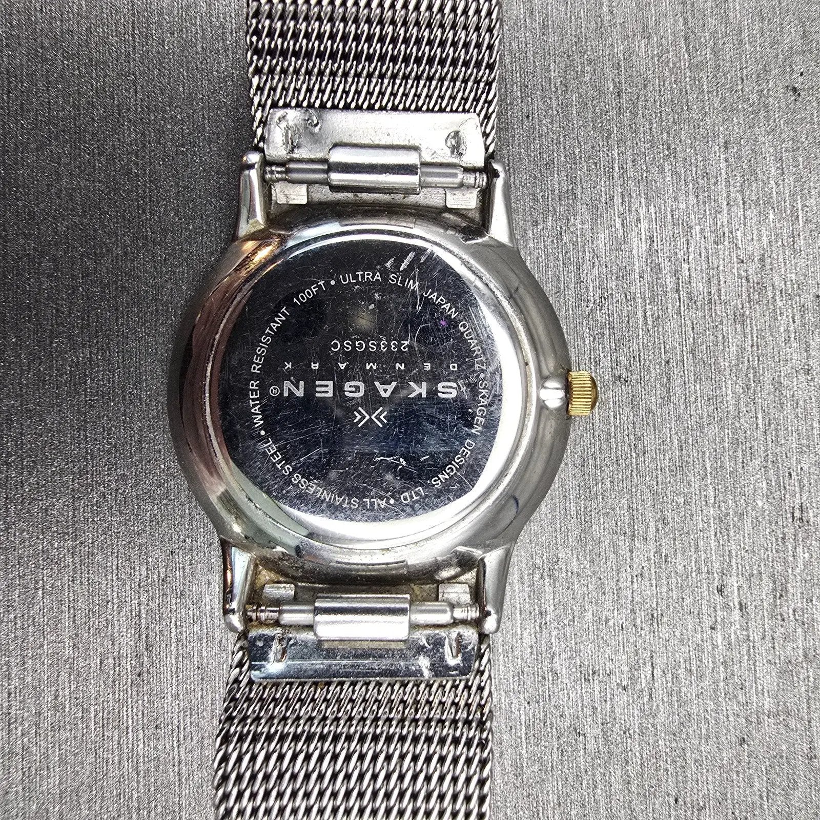 Skagen Watch Women 28mm Silver Dial Silver Tone Round 233SGSC New Batt G10