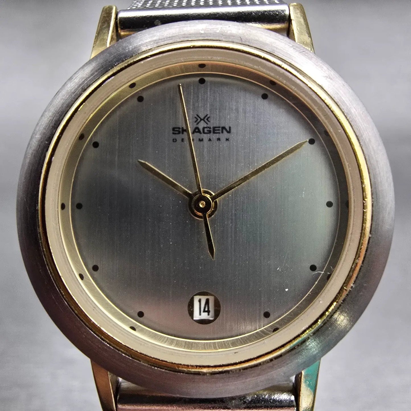 Skagen Denmark Watch Women 28mm Silver Dial Two Tone Date Round 16SGS New Batt1