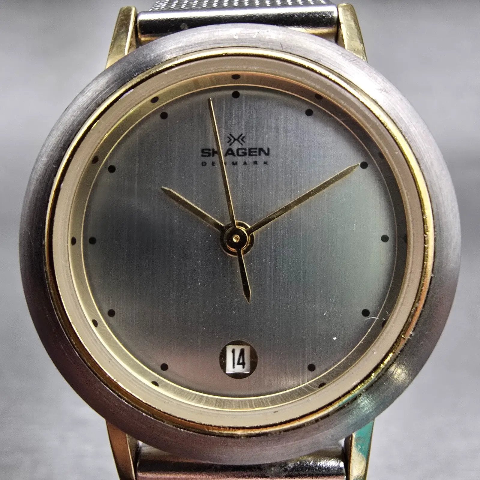 Skagen Denmark Watch Women 28mm Silver Dial Two Tone Date Round 16SGS New Batt1