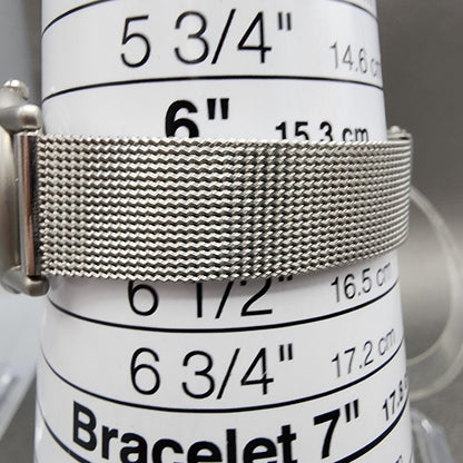 Skagen Watch Women 25mm Silver Dial Steel Round Mesh Band 4SSS New Battery