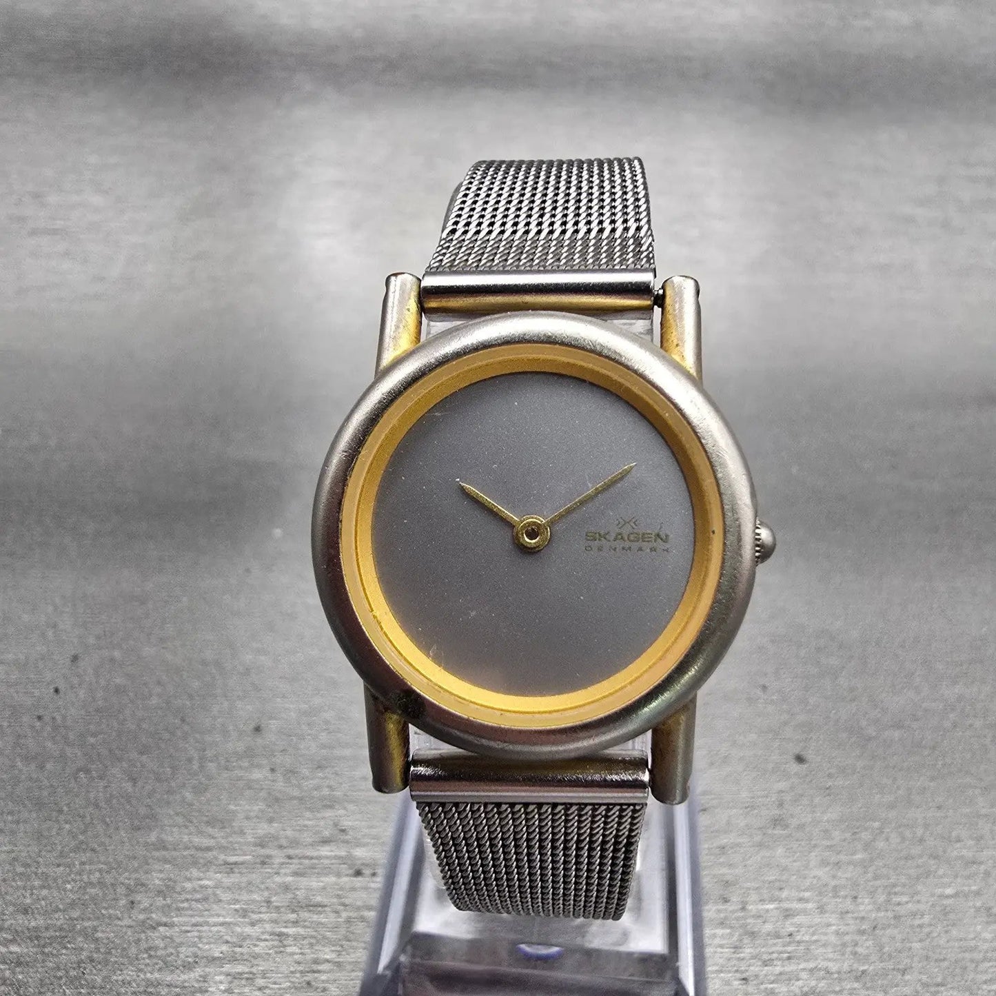 Skagen Denmark Watch Women 25mm Silver Dial Two Tone Round Mesh Band New Battery0