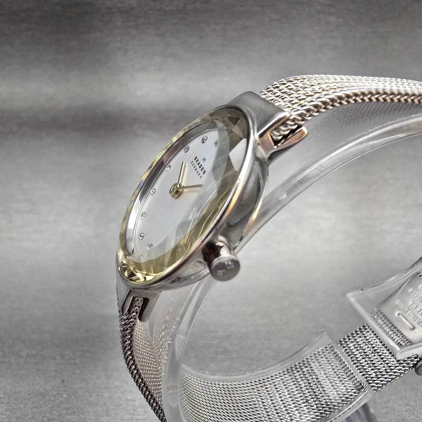 Skagen Leonora Watch Women 25mm Silver Dial Two Tone Round 456SGS1 New Battery2