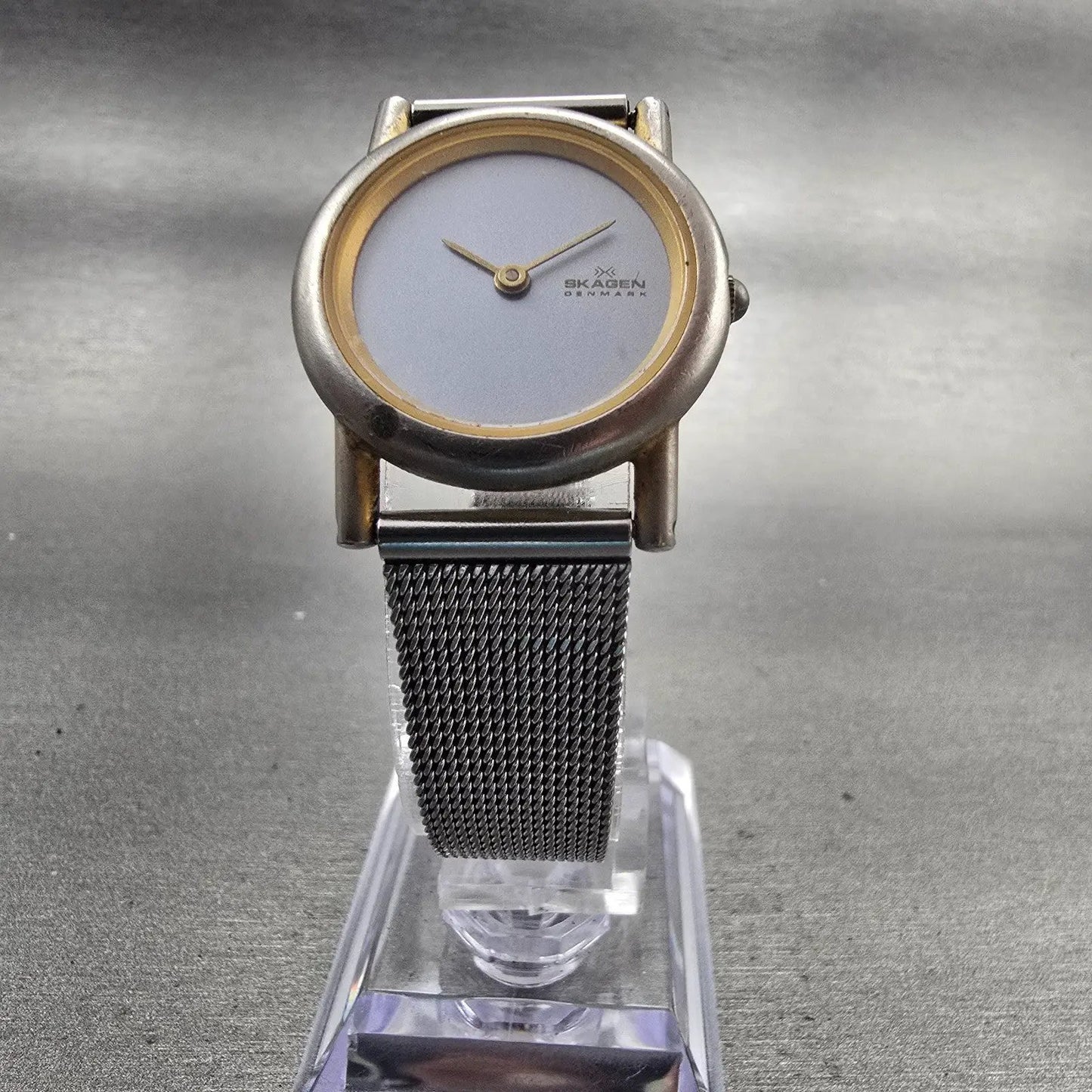 Skagen Denmark Watch Women 25mm Silver Dial Two Tone Round Mesh Band New Battery5