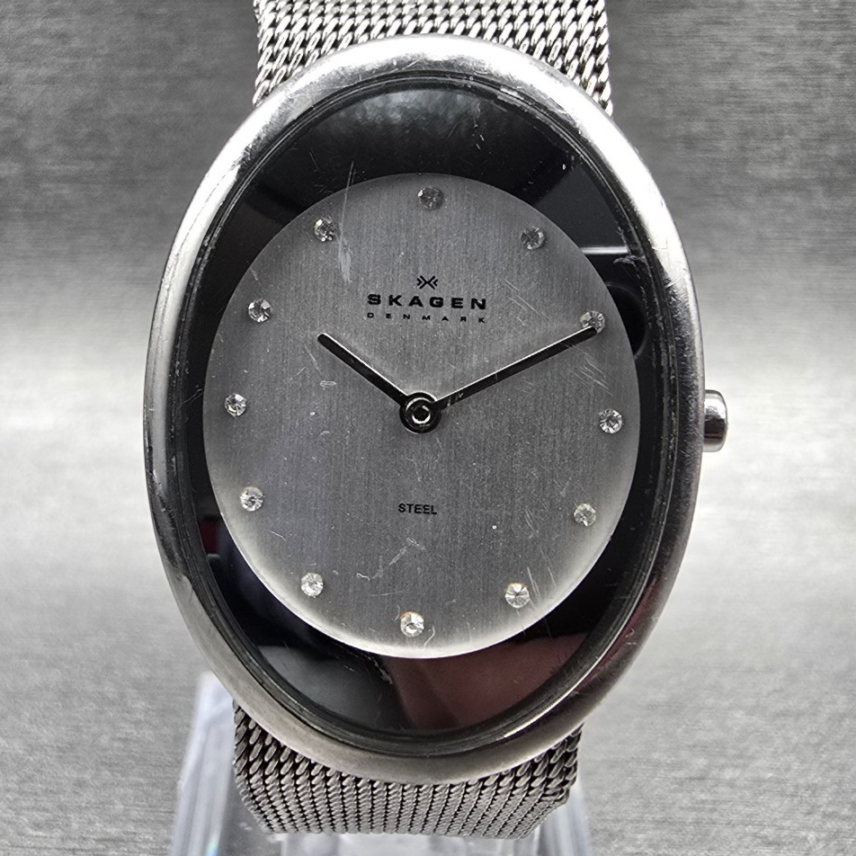 Skagen Watch Women 26mm Silver Dial Silver Tone Oval 468SSSC New Battery1