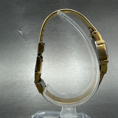 Seiko Watch Women 16mm Brown Dial Gold Tone Oval Vintage 5420-5159 New Battery8