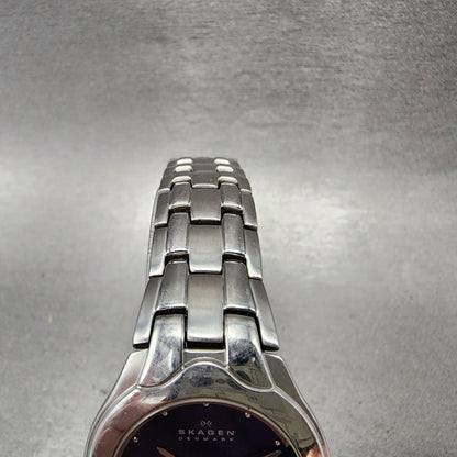 Skagen Watch Women 28mm Blue Dial Stainless Steel Date Round 202SSXN New Battery4