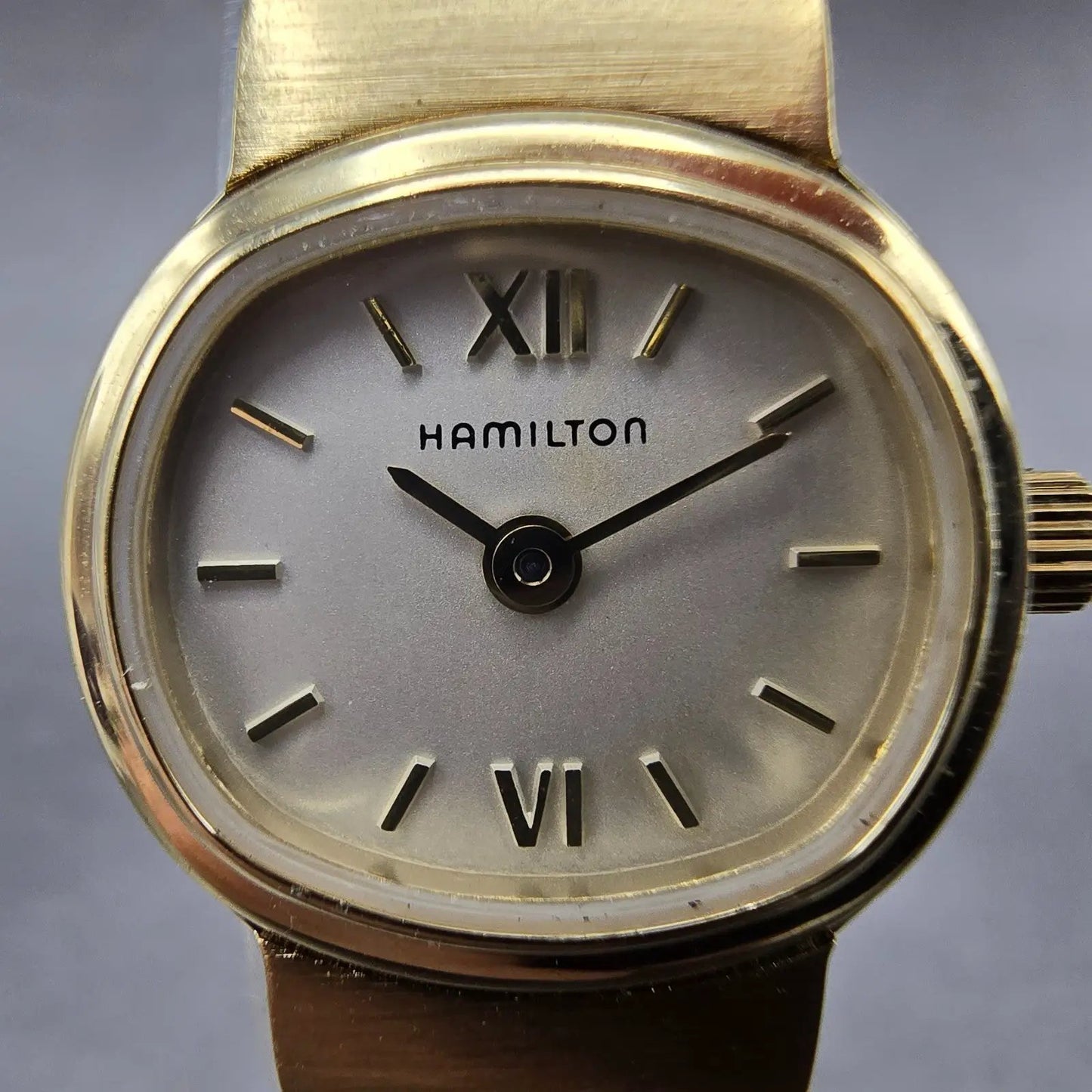 Hamilton Watch Women 19mm Champange Dial Gold Tone Oval New Battery Vintage 86461