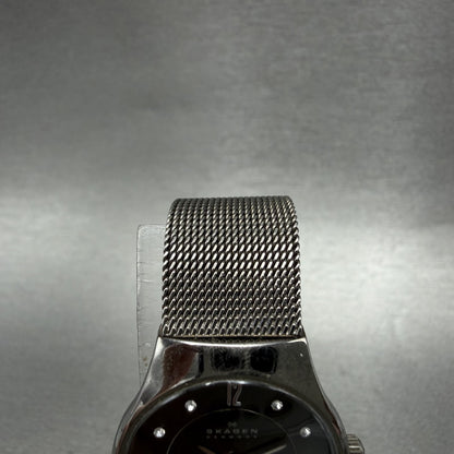 Skagen Watch Women 24mm Gray Dial Titanium Round Mesh Band 233XSTTM New Battery4
