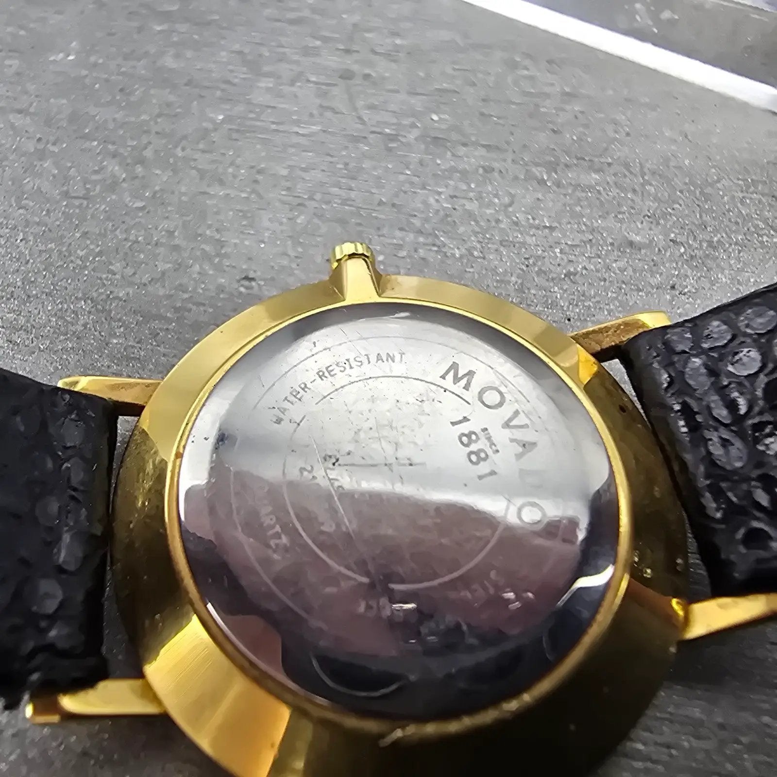48591801