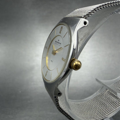 Skagen Watch Women 24mm Silver Dial Stainless Steel Round Mesh Band New Battery2