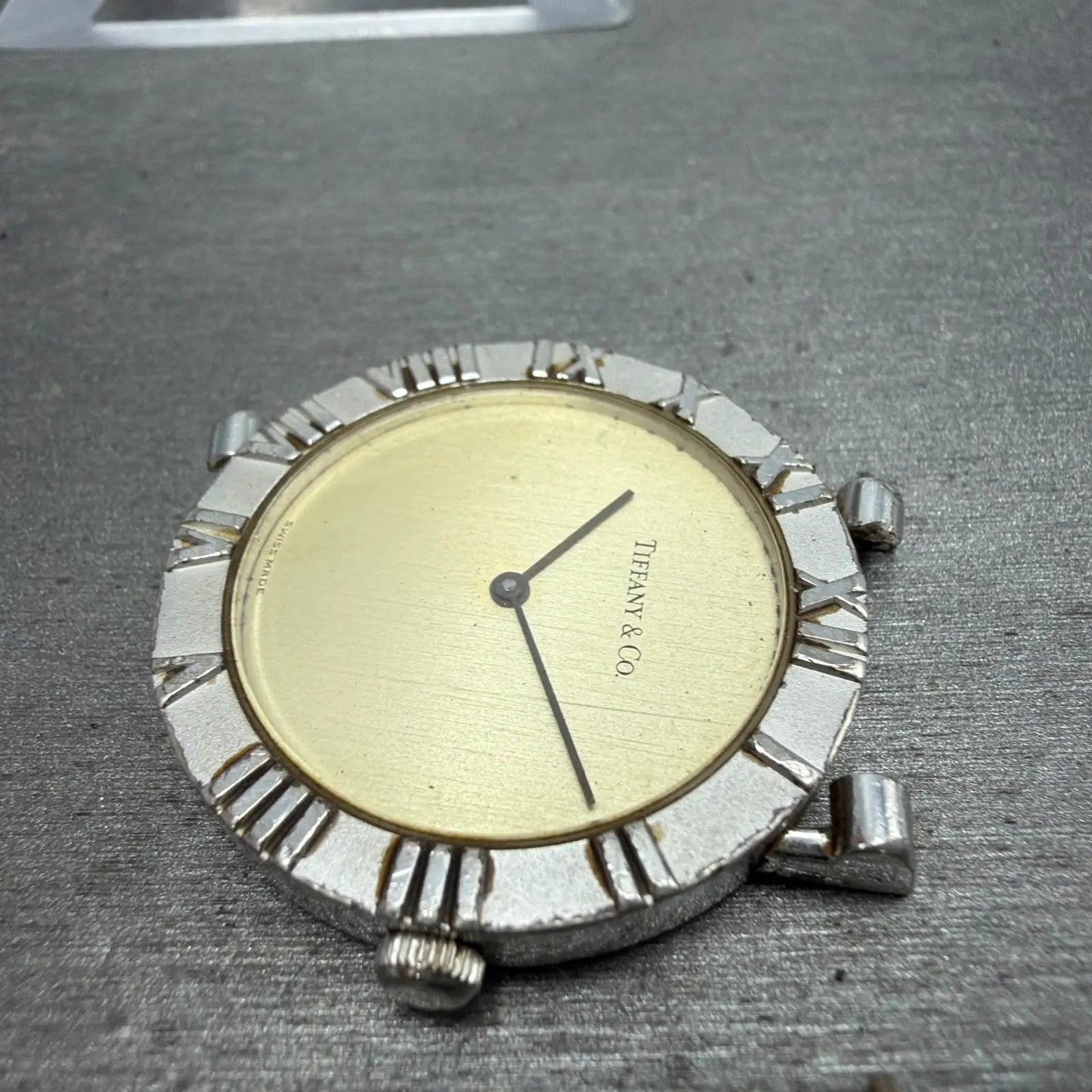48043069